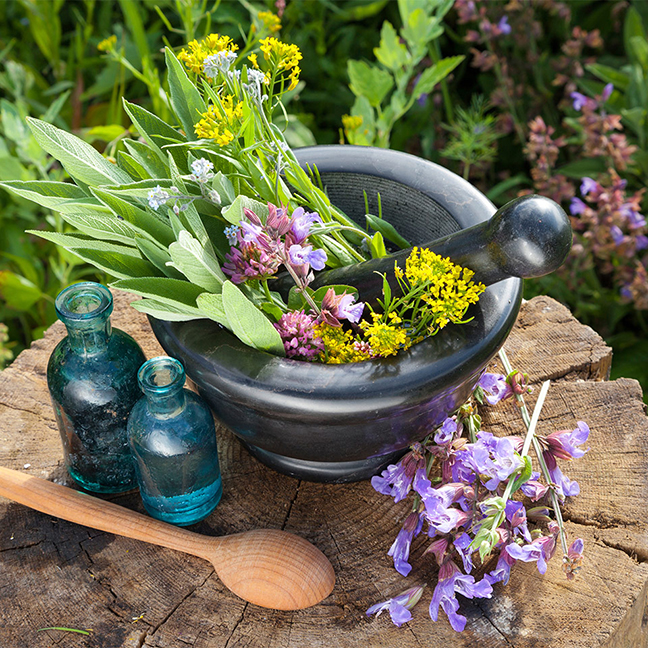 Herbs with pestle & mortar