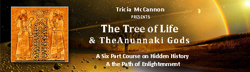 Tree of Life & Anunnaki online Course